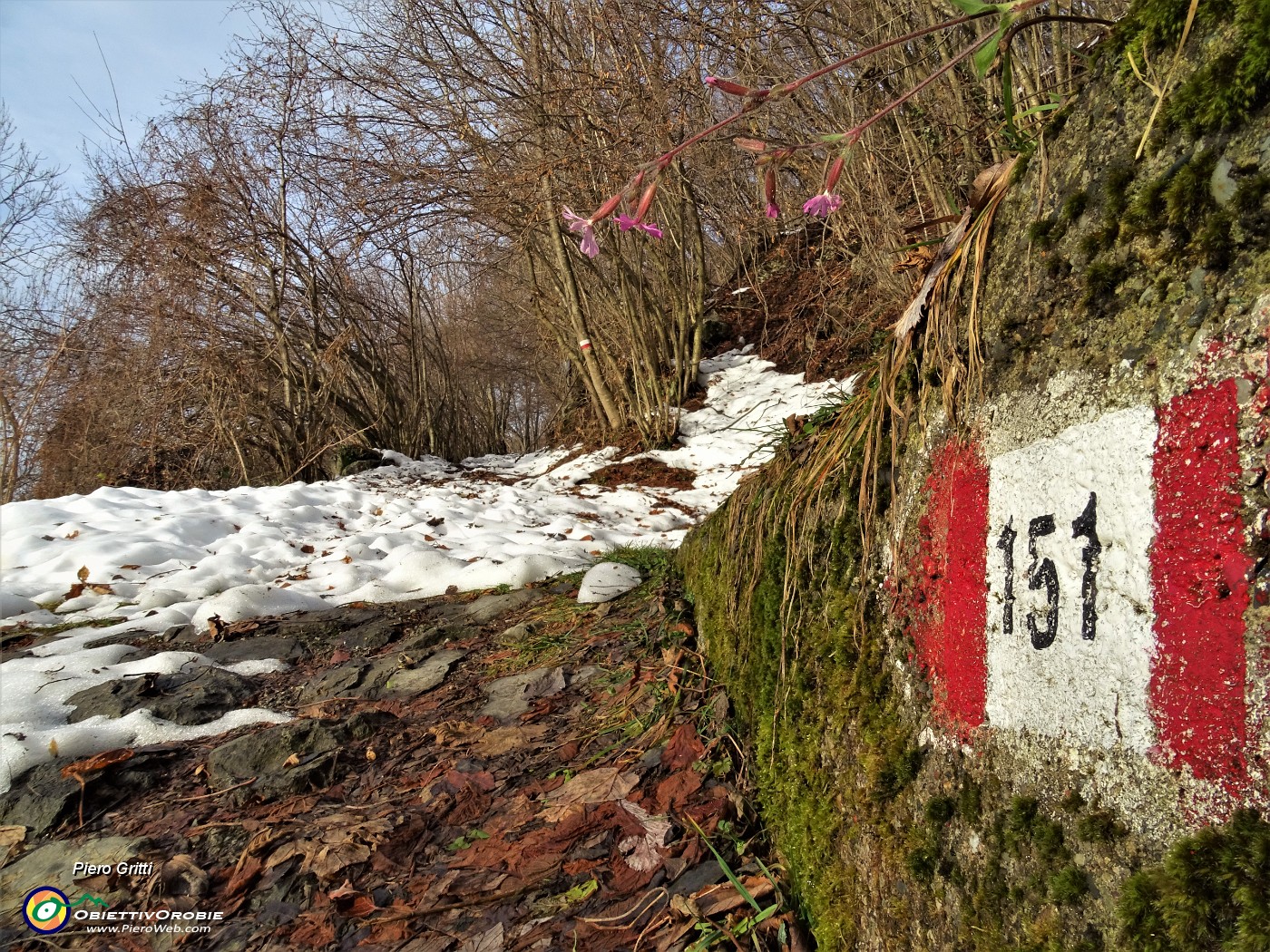 15 Qui il sent. 151 lascia la stradetta per proseguire come vero sentiero-mulattiera nel bosco.JPG